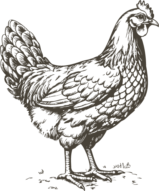 Alt Image